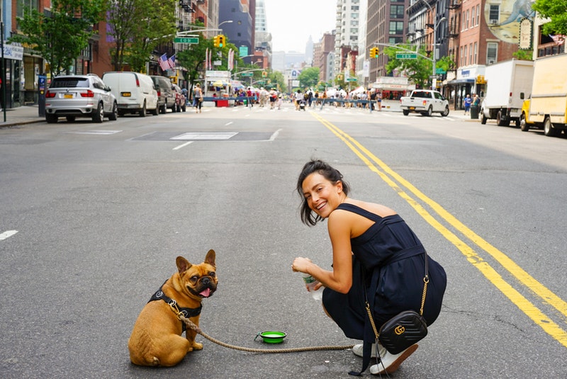 The Complete Guide to Traveling With Your Pet